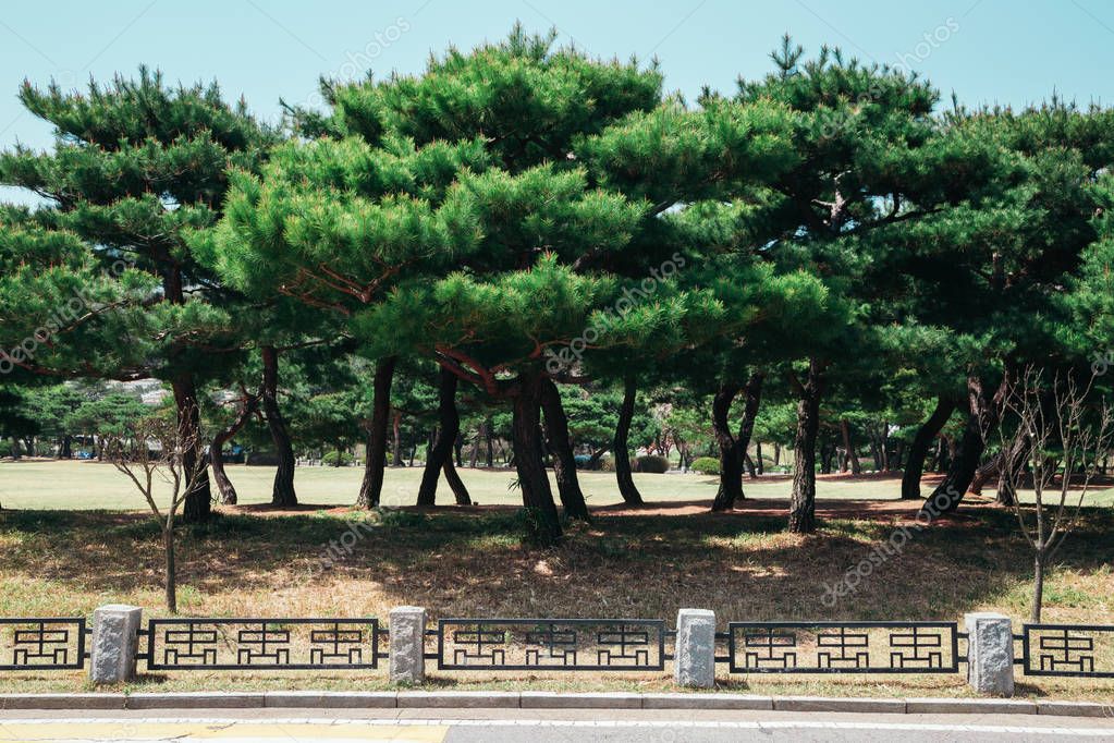 SangaPark
