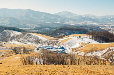 Kuru çim alan ve karlı dağda Daegwallyeong koyun çiftliği, Pyeongchang, Kore