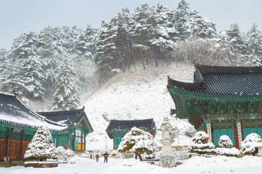 Odaesan Woljeongsa Tapınağı'nda karlı kış aylarında Pyeongchang Kore