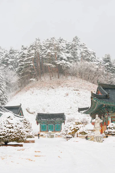 Храм Одесан Вулджонгса в снежную зиму в Пхёнчхане, Корея — стоковое фото