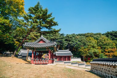 Namhansanseong Kalesi, sonbahar Gwangju, Kore