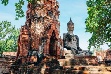 Buda heykelinin Wat Maha ki, Ayutthaya, Tayland