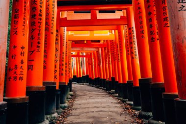 Kırmızı yakın kapılarında Fushimi Inari tapınak Kyoto, Japonya
