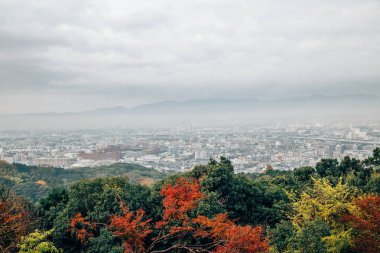 Kyoto şehir ve sonbaharda akçaağaç Japonya'da bulutlu gökyüzü altında