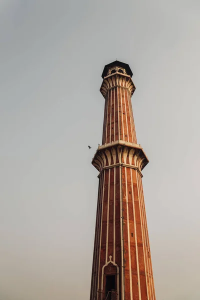 Jama masjid in delhi, indien — Stockfoto