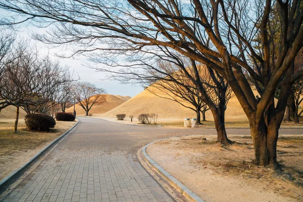 Daereungwon hrobky, starobylé ruiny v Gyeongju, Korea — Stock fotografie