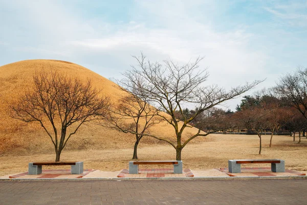 Tombe di Daereungwon, antiche rovine a Gyeongju, Corea — Foto Stock