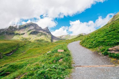 İsviçre Alpleri dağ Grindelwald ilk