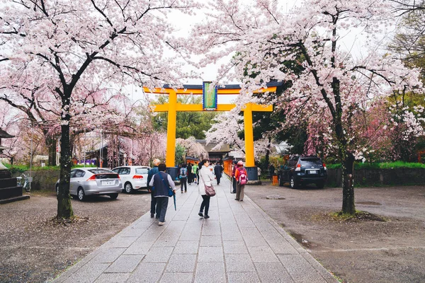 Hirano-Schrein Kirschblütenfest in Kyoto, Japan — Stockfoto