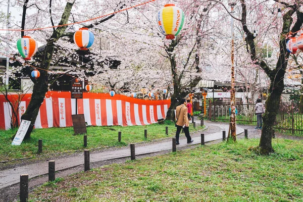 Festiwal wiśni Hirano sanktuarium w Kioto, Japonia — Zdjęcie stockowe