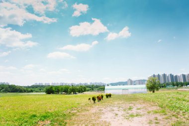 Kore'de bahar günü, sera alanıyla arpa