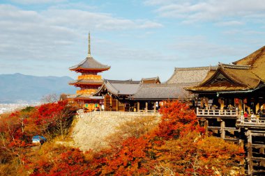 Kiyomizu-dera Tapınağı ile sonbahar renkli akçaağaç Kyoto, Japonya