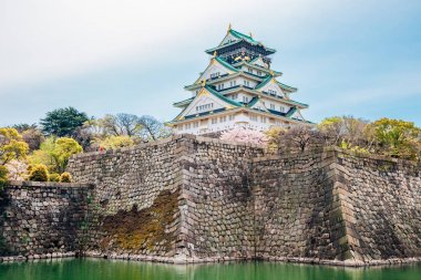 Osaka Kalesi Japonya baharın kiraz çiçekleri ile