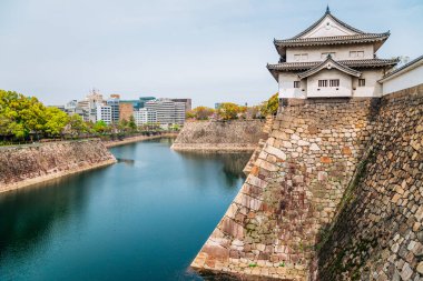 Osaka Kalesi Japonya baharın kiraz çiçekleri ile