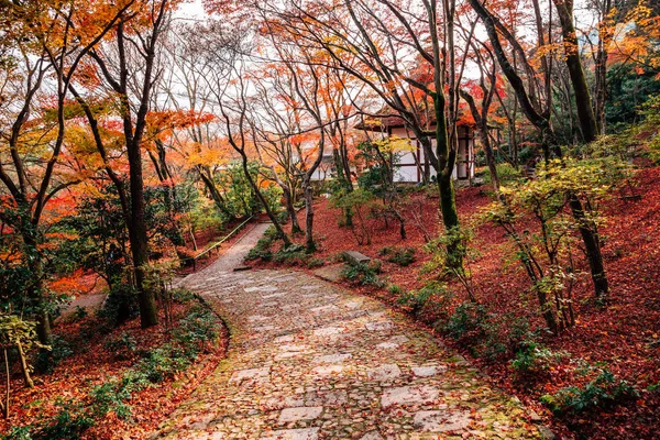 Jojakko-ji Rozcišgacz z autumn klonowe w Arashiyama, Kioto, Japonia — Zdjęcie stockowe