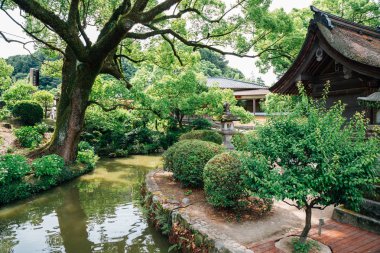 Dazaifu Tenmangu tapınak doğa görünümü: Fukuoka, Japan