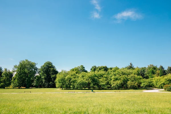 Parque Cytadela, campo verde con cielo azul en Poznan, Polonia — Foto de Stock