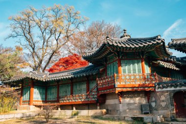 Changdeokgung Sarayı, Seul, Kore