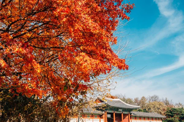 Gyeonghuigung Paleis in de herfst in Seoul, Korea — Stockfoto