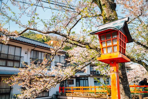 Japanse traditionele lamp met lente kersenbloesem in Kinosaki Onsen dorp in Hyogo, Japan — Stockfoto