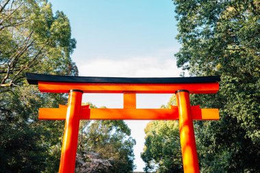 Shimogamo Tapınağı Torii kapısı Kyoto, Japonya
