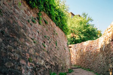 Heidelberg, Almanya 'da Filozof Yürüyüşü