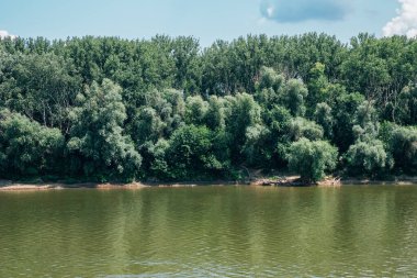 Macaristan, Szeged 'de Tisza Nehri ve yeşil ağaçlar