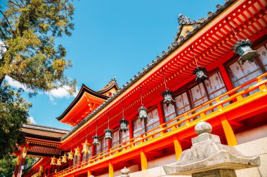 Japonya, Kyoto 'daki Hachimangu tapınağındaydım.