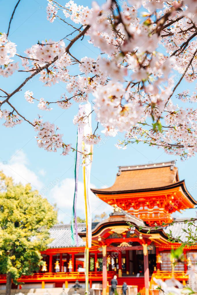 Iwashimizu Hachimangu shrine with spring cherry blossoms in Kyoto, Japan