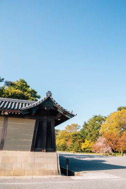 Japonya 'da ilkbaharda Kyoto Gyoen Ulusal Bahçesi
