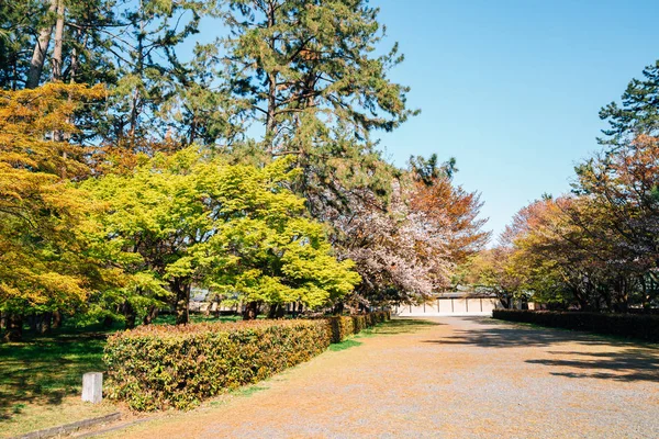 Jardín Nacional de Kioto Gyoen en primavera en Japón — Foto de Stock