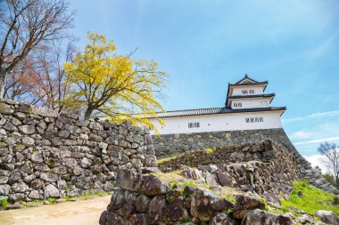 Hikone kale içinde shiga, japan