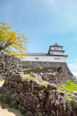 Hikone kale içinde shiga, japan