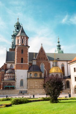 Wawel Kalesi Krakow, Polonya 'daki Wawel Katedrali