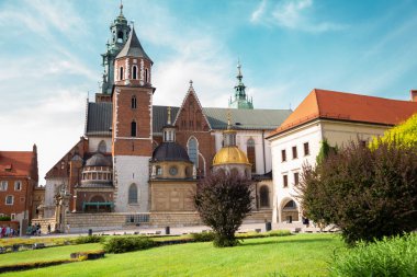 Wawel Kalesi Krakow, Polonya 'daki Wawel Katedrali