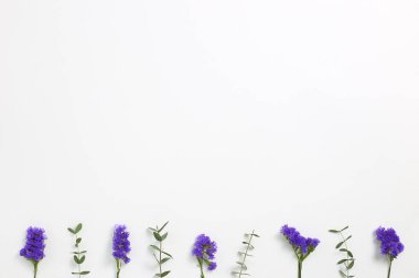 Mor istatik çiçekleri ve beyaz arka planda okaliptüs yaprakları. Çiçek kompozisyonu, düz konum, üst görünüm, kopyalama alanı