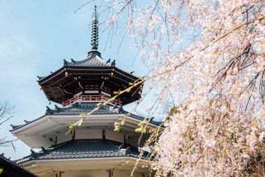 Yoshino dağı Kinpusen-ji tapınağı Nara, Japonya 'da bahar kiraz çiçekleri açan