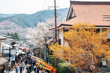 Nara, Japonya - 7 Nisan 2019: Yoshino Dağı Kiraz Çiçekleri Festivali, Yemek Sokağı