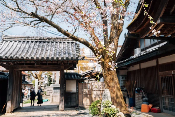 Yoshino Montaña Kizou Templo Con Flores Cerezo Primavera Nara Japón — Foto de Stock