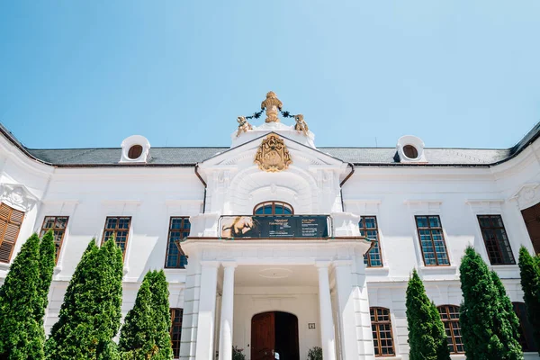 Veszprem Hungary June 2019 Erseki Palota Museum Castle District — Stock Photo, Image