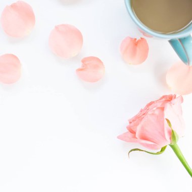 Beyaz arka planda kahve olan gül ve taç yaprağı. Çiçek kompozisyonu, düz konum, üst görünüm, kopyalama alanı