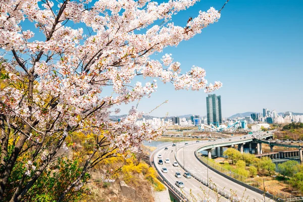 Paysage Urbain Séoul Montagne Eungbongsan Avec Des Fleurs Cerisier Forsythia — Photo