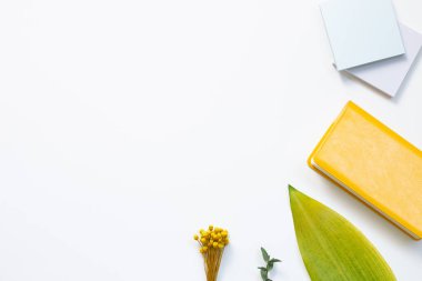 İş ve öğrenim yeri, çiçek süslemeli ofis malzemeleri. düz alan, üst görünüm, kopyala boşluk