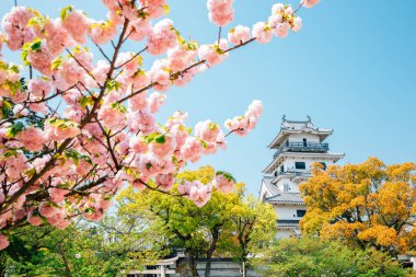 Ehime, Shikoku, Japonya 'da ilkbaharda Imabari Kalesi