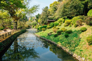 Dogo Park, Japonya Matsuyama 'daki Yuzuki Kalesi kalıntıları.