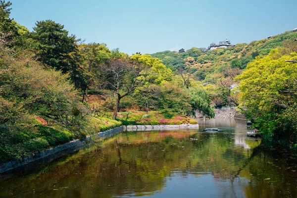 Κάστρο Matsuyama Και Πράσινο Πάρκο Δάσος Στο Matsuyama Shikoku Ιαπωνία — Φωτογραφία Αρχείου