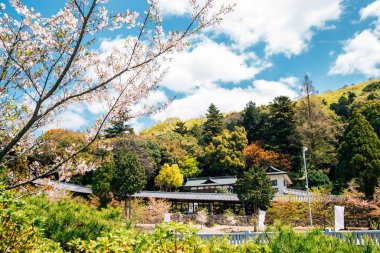 Japonya, Okayama 'da ilkbaharda Kibitsu Tapınağı
