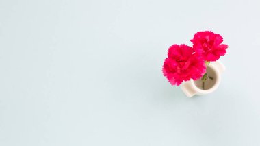 Gök mavisi arka planda vazoda pembe karanfil çiçekleri. Çiçek bileşimi, üst görünüm, kopyalama alanı