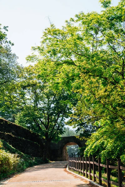 Gerbang Benteng Gunung Jukjusanseong Dengan Pohon Hijau Anseong Korea — Stok Foto