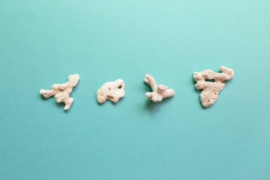 Zümrüt yeşili arka planda izole deniz taşları. Yaz deniz dekorasyonu. düz alan, üst görünüm, kopyala boşluk